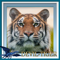 DEVIL-TIGER